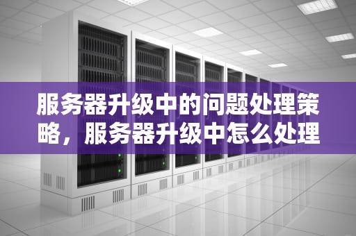 服务器升级中的问题处理策略，服务器升级中怎么处理问题的