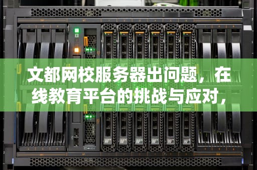 文都网校服务器出问题，在线教育平台的挑战与应对，文都网校系统异常