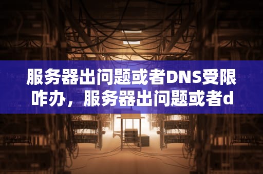 服务器出问题或者DNS受限咋办，服务器出问题或者dns受限咋办解决