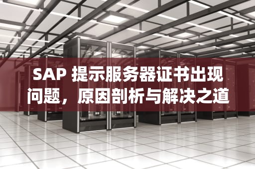 SAP 提示服务器证书出现问题，原因剖析与解决之道，sap hana 认证服务器