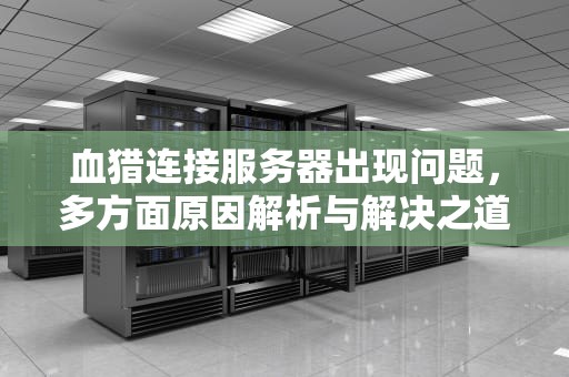 血猎连接服务器出现问题，多方面原因解析与解决之道，血猎一直加载