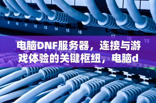 电脑DNF服务器，连接与游戏体验的关键枢纽，电脑dnf服务器是什么问题啊