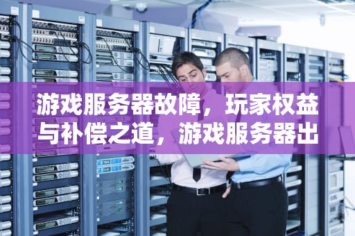 游戏服务器故障，玩家权益与补偿之道，游戏服务器出问题了