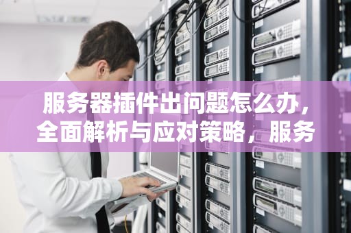 服务器插件出问题怎么办，全面解析与应对策略，服务器插件出问题怎么办啊
