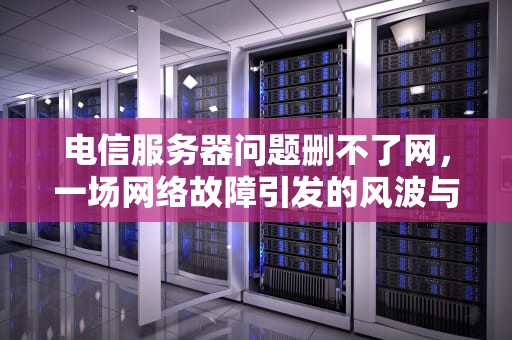 电信服务器问题删不了网，一场网络故障引发的风波与反思，电信服务器问题删不了网络