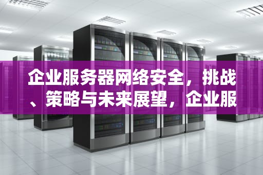 企业服务器网络安全，挑战、策略与未来展望，企业服务器网络安全问题有哪些
