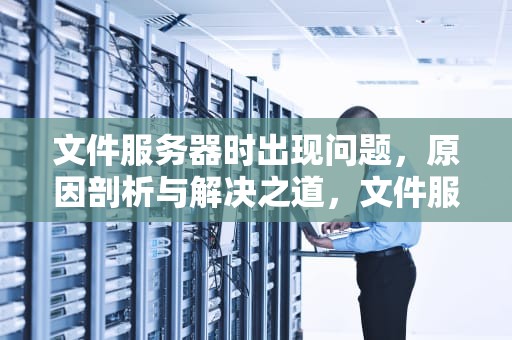 文件服务器时出现问题，原因剖析与解决之道，文件服务器时出现问题怎么解决