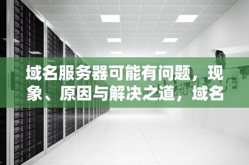 域名服务器可能有问题，现象、原因与解决之道，域名服务器可能有问题吗
