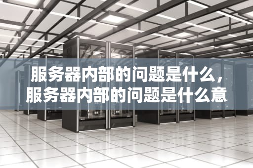 服务器内部的问题是什么，服务器内部的问题是什么意思