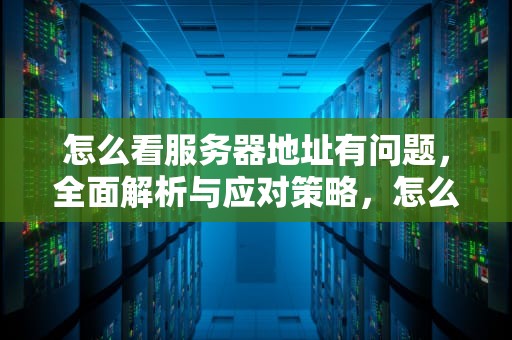 怎么看服务器地址有问题，全面解析与应对策略，怎么看服务器地址有问题没