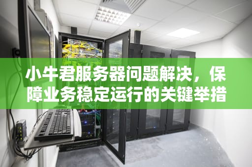 小牛君服务器问题解决，保障业务稳定运行的关键举措，小牛君服务器问题解决方法