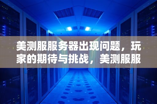 美测服服务器出现问题，玩家的期待与挑战，美测服服务器出现问题怎么办
