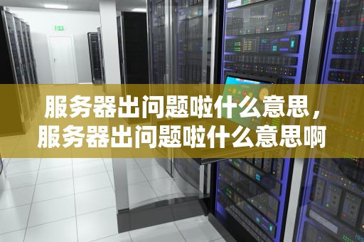 服务器出问题啦什么意思，服务器出问题啦什么意思啊