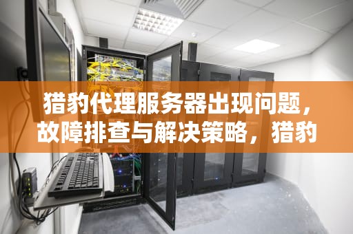 猎豹代理服务器出现问题，故障排查与解决策略，猎豹代理服务器出现问题怎么解决