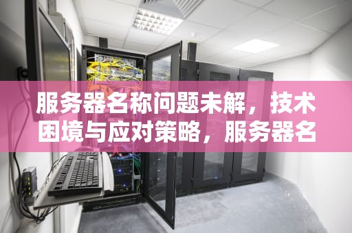 服务器名称问题未解，技术困境与应对策略，服务器名称问题没有解决怎么办