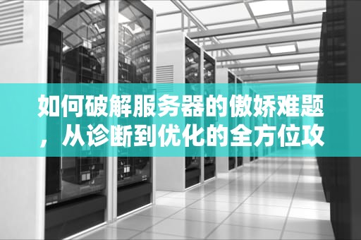 如何破解服务器的傲娇难题，从诊断到优化的全方位攻略，服务器傲娇怎么办
