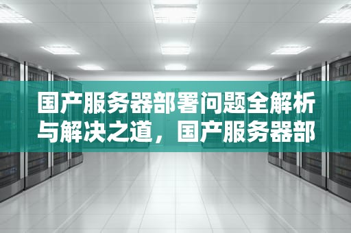 国产服务器部署问题全解析与解决之道，国产服务器部署问题解决方案