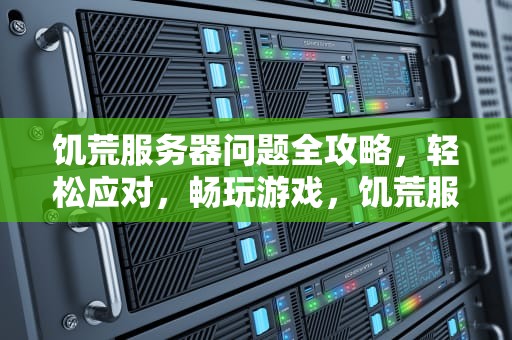 饥荒服务器问题全攻略，轻松应对，畅玩游戏，饥荒服务器有点问题