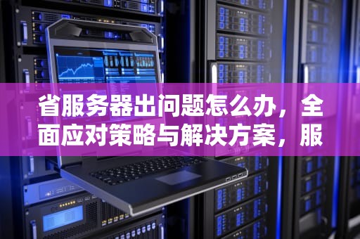 省服务器出问题怎么办，全面应对策略与解决方案，服务器有点问题