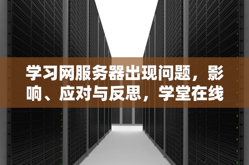 学习网服务器出现问题，影响、应对与反思，学堂在线服务器异常