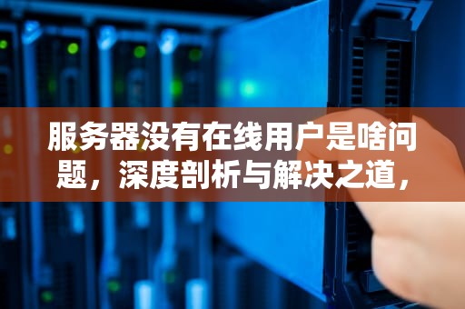 服务器没有在线用户是啥问题，深度剖析与解决之道，服务器没有在线用户是啥问题啊