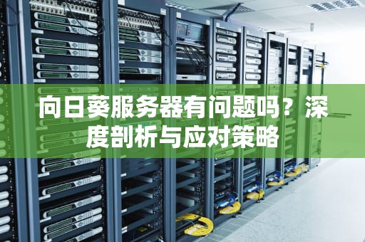 向日葵服务器有问题吗？深度剖析与应对策略