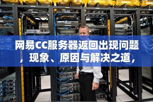 网易CC服务器返回出现问题，现象、原因与解决之道，网易cc服务器返回出现问题怎么办