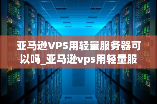 亚马逊VPS用轻量服务器可以吗_亚马逊vps用轻量服务器可以吗_亚马逊VPS用轻量服务器的可行性分析