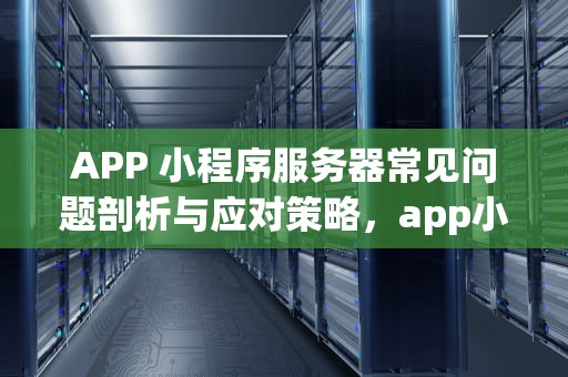APP 小程序服务器常见问题剖析与应对策略，app小程序服务器遇到的问题有哪些
