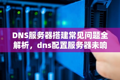 DNS服务器搭建常见问题全解析，dns配置服务器未响应怎么办