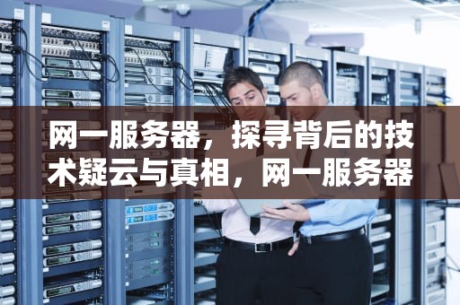网一服务器，探寻背后的技术疑云与真相，网一服务器在哪个地区