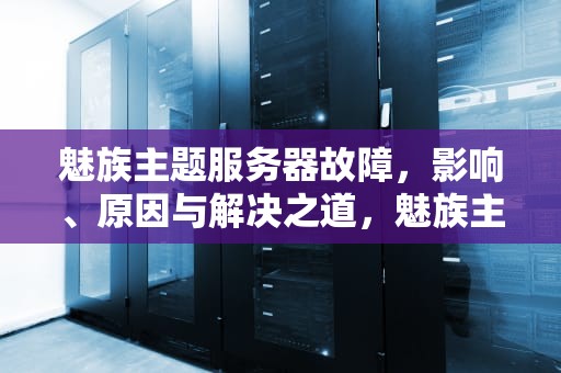 魅族主题服务器故障，影响、原因与解决之道，魅族主题服务器出现问题怎么办