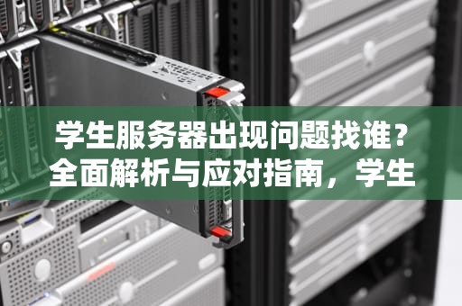 学生服务器出现问题找谁？全面解析与应对指南，学生服务器出现问题找谁解决