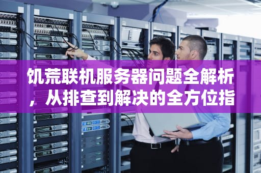 饥荒联机服务器问题全解析，从排查到解决的全方位指南，饥荒联机服务器遇到问题怎么解决