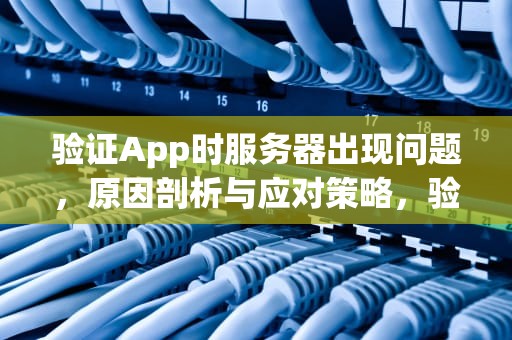 验证App时服务器出现问题，原因剖析与应对策略，验证app时服务器出现问题怎么办