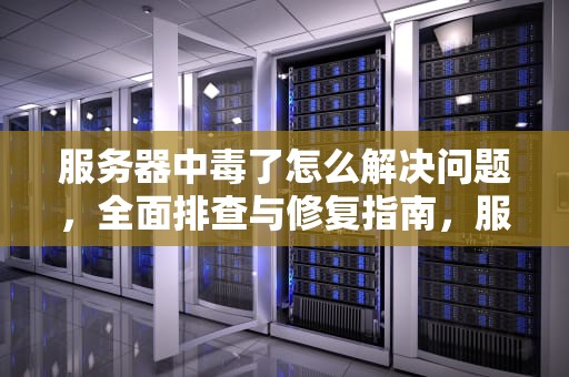 服务器中毒了怎么解决问题，全面排查与修复指南，服务器中毒了怎么解决问题啊