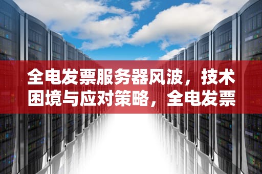 全电发票服务器风波，技术困境与应对策略，全电发票服务器出现问题怎么办