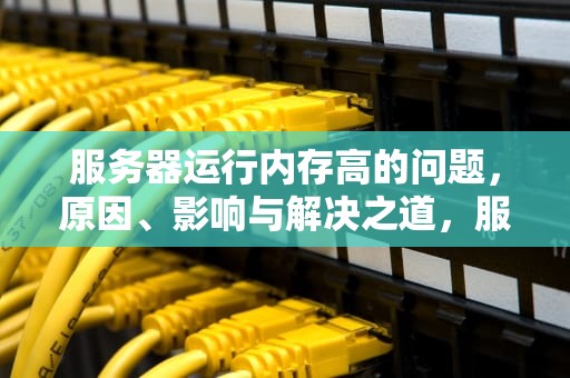 服务器运行内存高的问题，原因、影响与解决之道，服务器运行内存高的问题有哪些