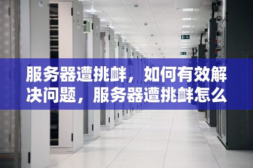 服务器遭挑衅，如何有效解决问题，服务器遭挑衅怎么解决问题的
