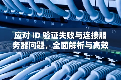 应对 ID 验证失败与连接服务器问题，全面解析与高效解决方案，id验证失败出现连接服务器问题怎么办