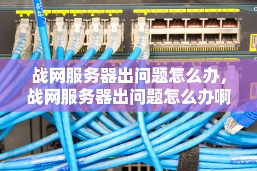 战网服务器出问题怎么办，战网服务器出问题怎么办啊