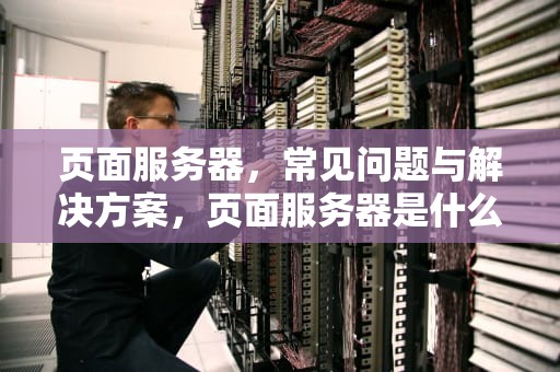 页面服务器，常见问题与解决方案，页面服务器是什么问题吗怎么解决