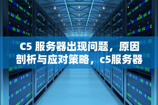 C5 服务器出现问题，原因剖析与应对策略，c5服务器出现问题怎么解决