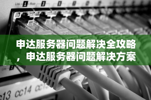 申达服务器问题解决全攻略，申达服务器问题解决方案