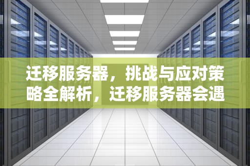 迁移服务器，挑战与应对策略全解析，迁移服务器会遇到什么问题呢
