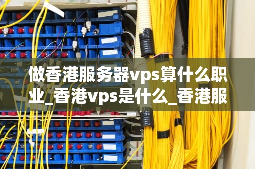 做香港服务器vps算什么职业_香港vps是什么_香港服务器VPS：一个新兴职业的崛起