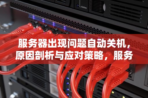服务器出现问题自动关机，原因剖析与应对策略，服务器出现问题自动关机怎么办