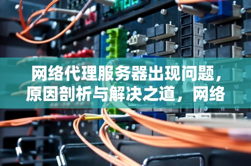 网络代理服务器出现问题，原因剖析与解决之道，网络代理服务器出现问题,地址有误