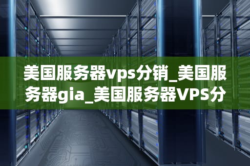 美国服务器vps分销_美国服务器gia_美国服务器VPS分销：探索全球互联网连接的新机遇