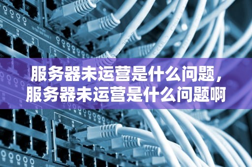 服务器未运营是什么问题，服务器未运营是什么问题啊
